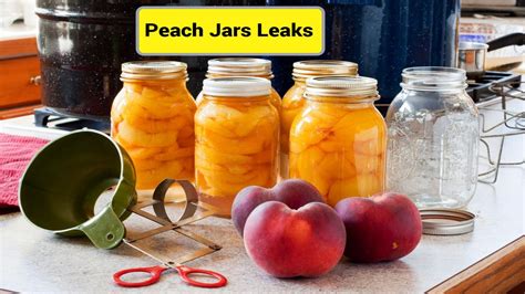 peach jars leaks|PeachJars Leaks: Navigating the Controversy